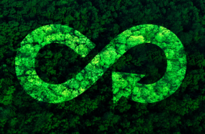 Economia circular: como transformar resíduos em oportunidades de negócio