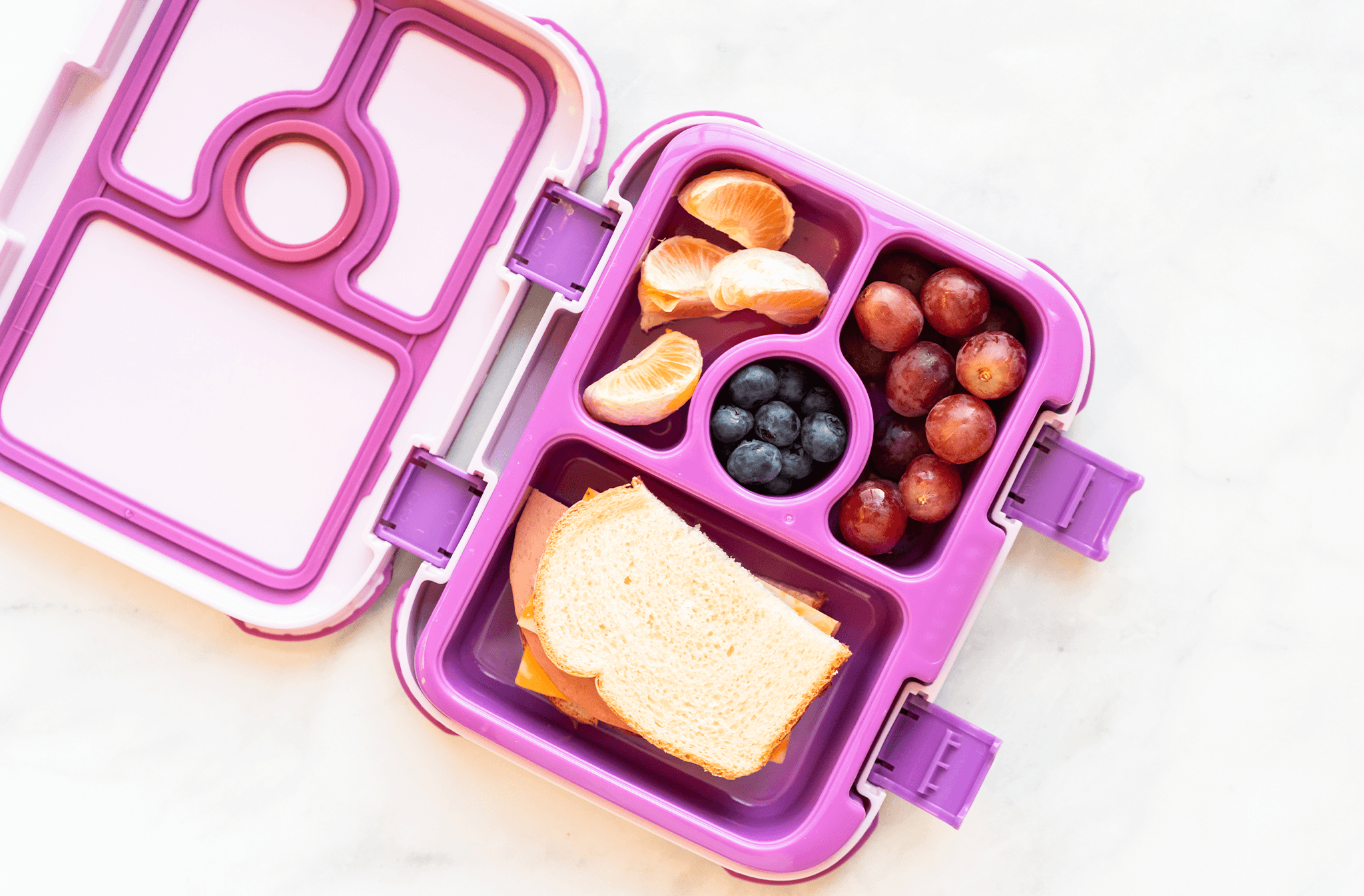 VOLTA ÀS AULAS SUSTENTÁVEL