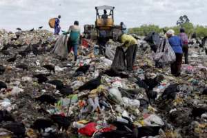 O paradoxo da reciclagem no Brasil: por que os trabalhadores que mais contribuem são os que mais sofrem? — Foto: Adobe Stock