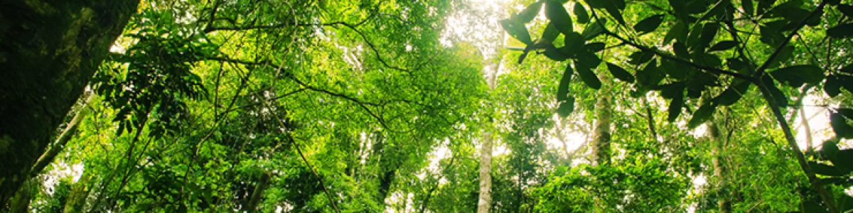 indicadores-ambientais